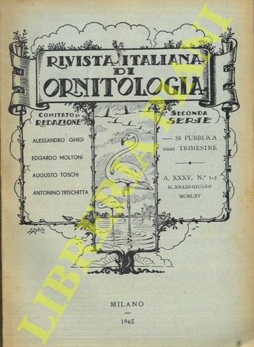 Spanò moltoni - (spanò,,