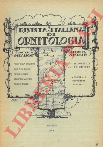 Allavena brichetti - -,