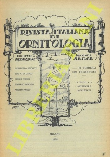 Allavena brichetti - r.i.o.,