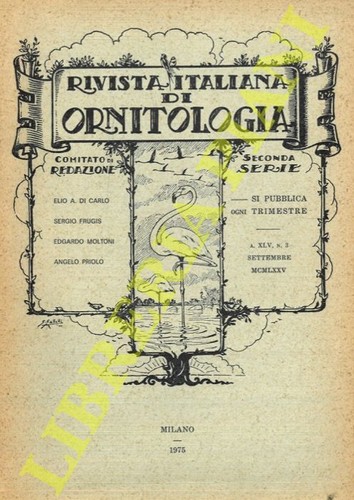 Allavena brichetti - r.i.o.,