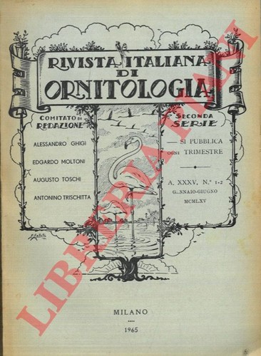 Spanò moltoni - -,